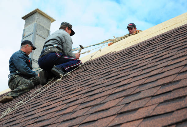 Quick and Trustworthy Emergency Roof Repair Services in Brocton, NY
